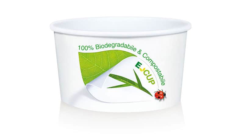 E-cup: ditelo con una coccinella